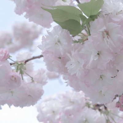 滨海FurryQQ群介绍